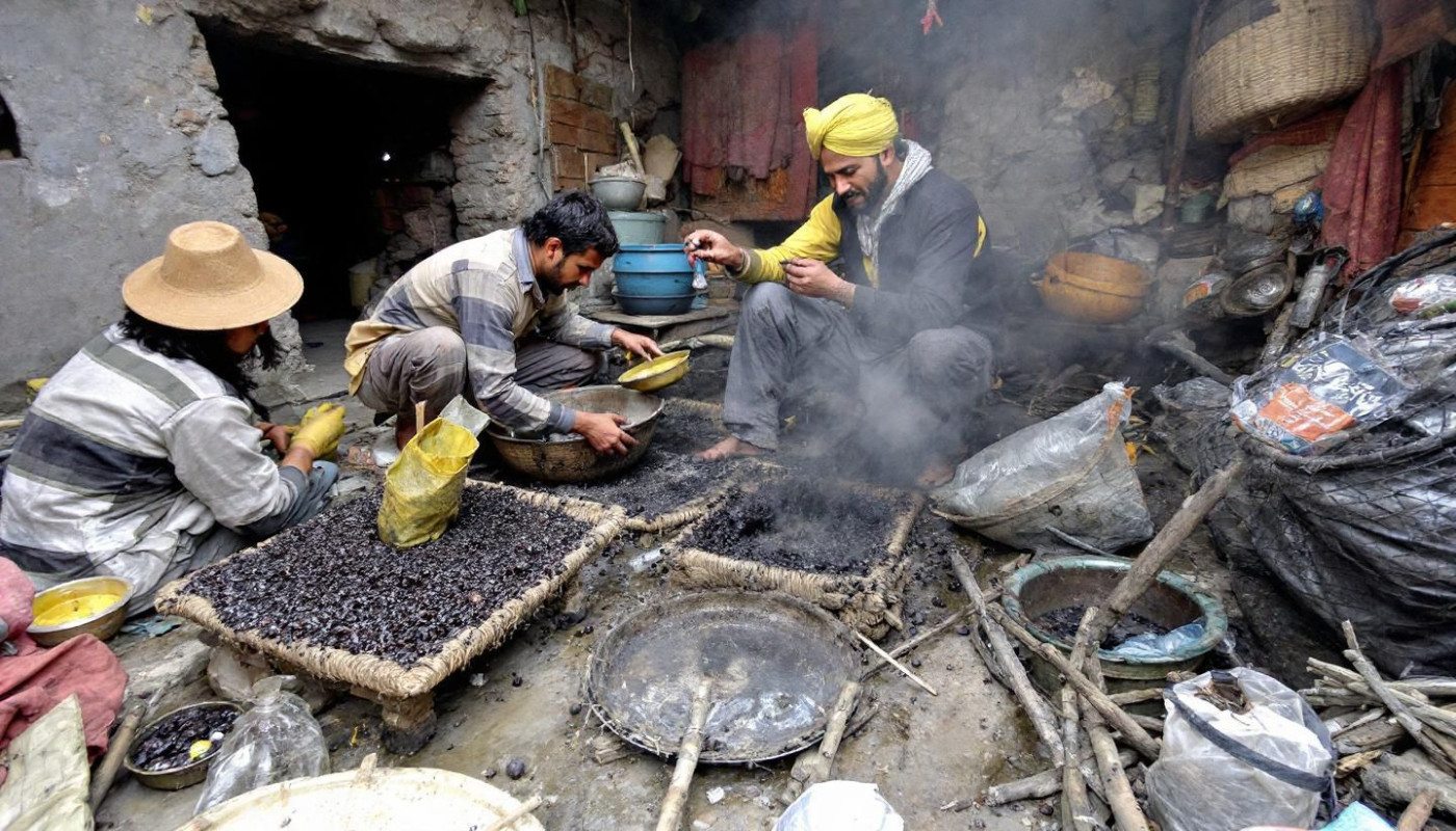 Exploration des méthodes traditionnelles d'extraction du Shilajit de l'Himalaya
